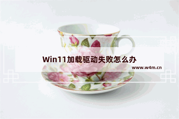 Win11加载驱动失败怎么办