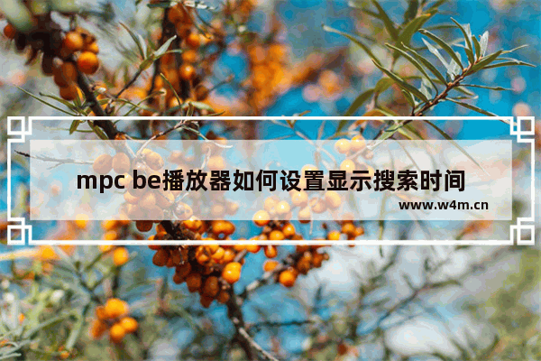 mpc be播放器如何设置显示搜索时间