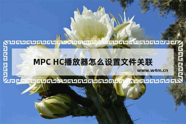 MPC HC播放器怎么设置文件关联