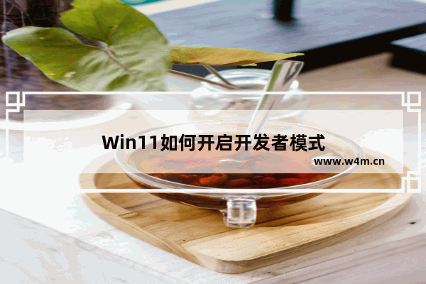 Win11如何开启开发者模式