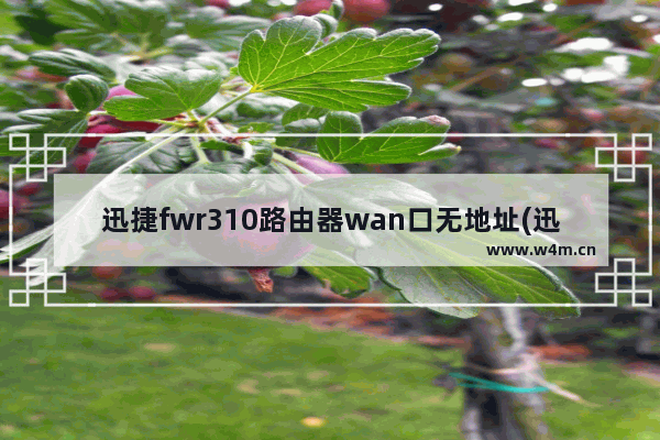 迅捷fwr310路由器wan口无地址(迅捷fw313r路由器设置完无法使用)