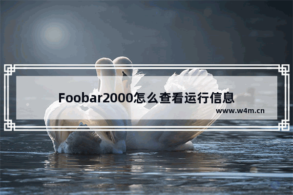 Foobar2000怎么查看运行信息