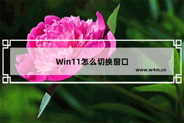 Win11怎么切换窗口