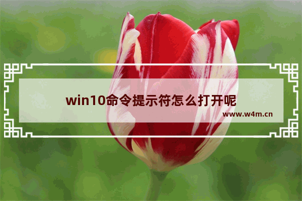 win10命令提示符怎么打开呢