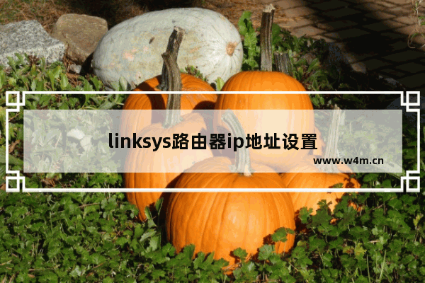 linksys路由器ip地址设置