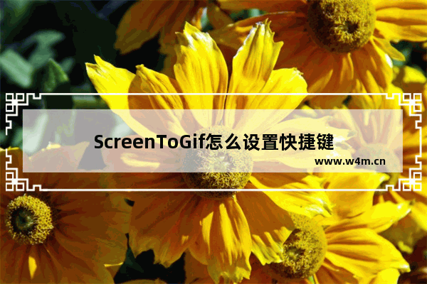 ScreenToGif怎么设置快捷键