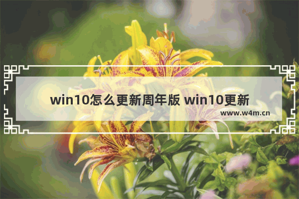 win10怎么更新周年版 win10更新教程