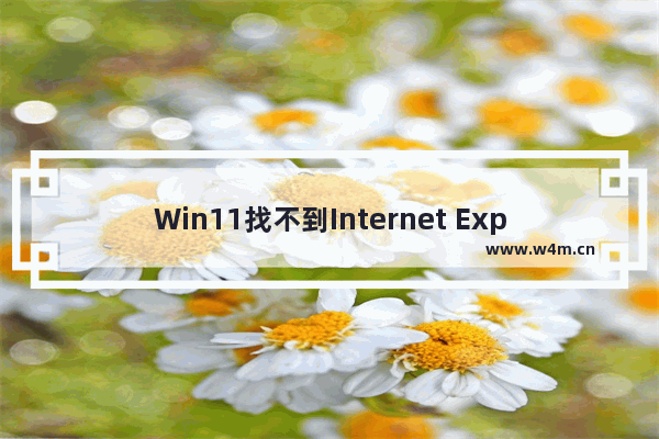 Win11找不到Internet Explorer怎么办