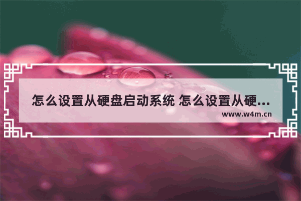 怎么设置从硬盘启动系统 怎么设置从硬盘启动系统