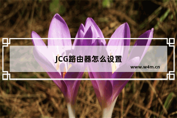 JCG路由器怎么设置