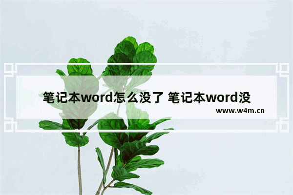 笔记本word怎么没了 笔记本word没有了