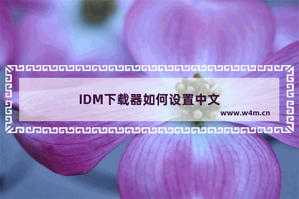 IDM下载器如何设置中文