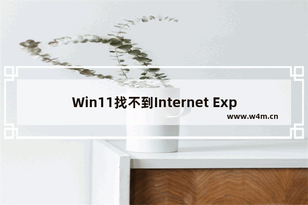 Win11找不到Internet Explorer怎么办