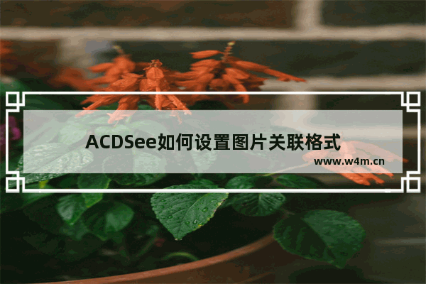 ACDSee如何设置图片关联格式