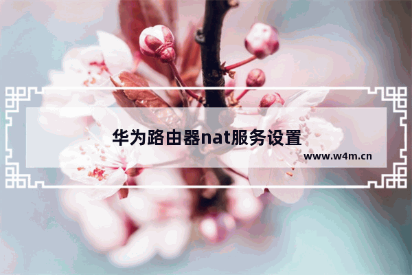 华为路由器nat服务设置