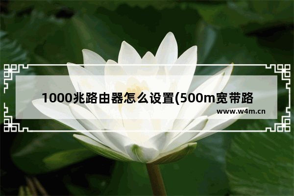 1000兆路由器怎么设置(500m宽带路由器怎么设置)