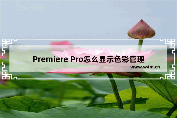 Premiere Pro怎么显示色彩管理