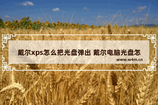 戴尔xps怎么把光盘弹出 戴尔电脑光盘怎么弹出