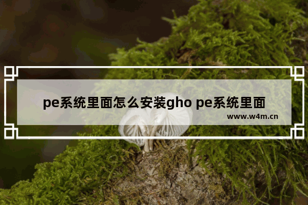 pe系统里面怎么安装gho pe系统里面怎么安装驱动