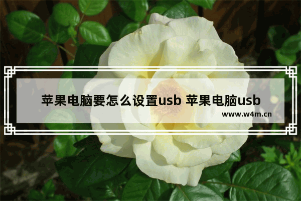 苹果电脑要怎么设置usb 苹果电脑usb调试模式怎么打开