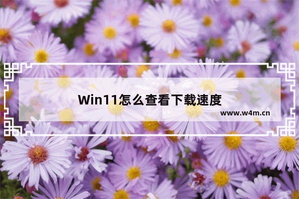 Win11怎么查看下载速度