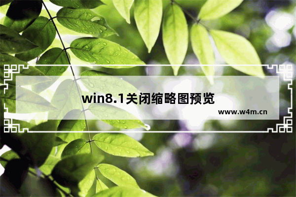 win8.1关闭缩略图预览