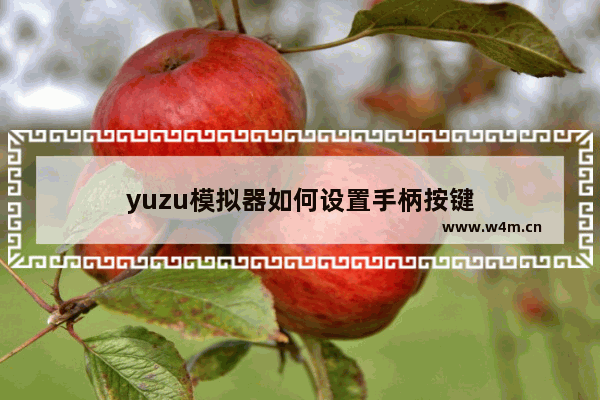 yuzu模拟器如何设置手柄按键