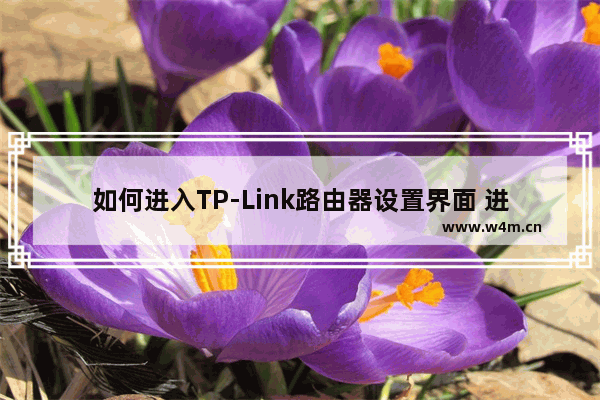 如何进入TP-Link路由器设置界面 进入TP-Link路由器设置界面方法【详解】