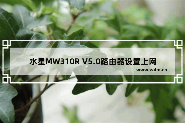 水星MW310R V5.0路由器设置上网方法