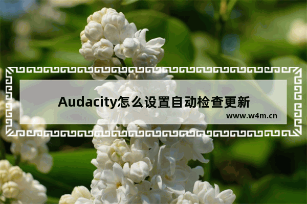 Audacity怎么设置自动检查更新