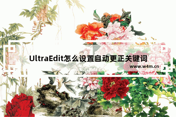 UltraEdit怎么设置自动更正关键词