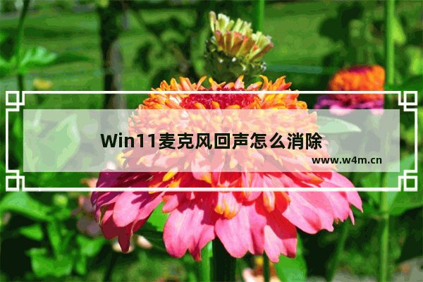 Win11麦克风回声怎么消除