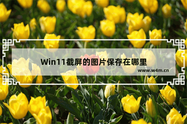 Win11截屏的图片保存在哪里