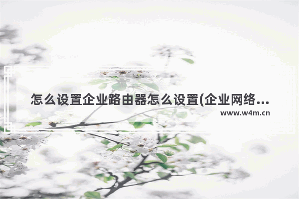 怎么设置企业路由器怎么设置(企业网络路由器怎么设置)