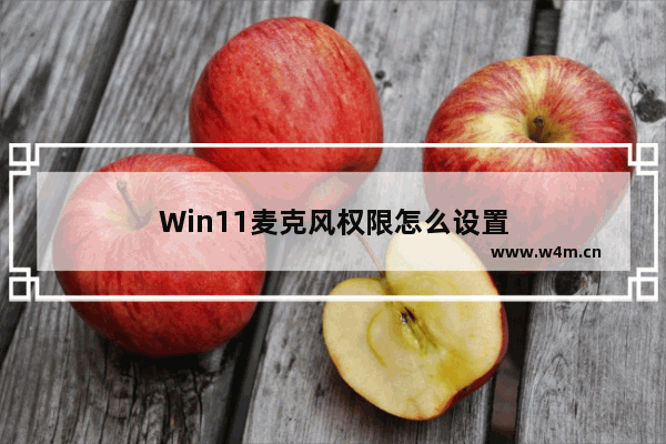 Win11麦克风权限怎么设置