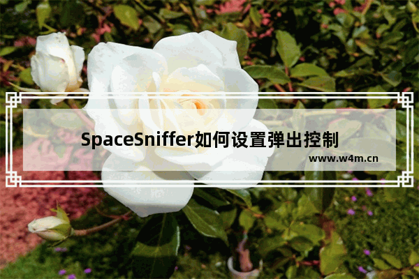 SpaceSniffer如何设置弹出控制台登录事件