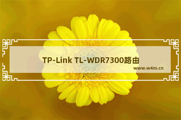 TP-Link TL-WDR7300路由器wifi密码如何设置？