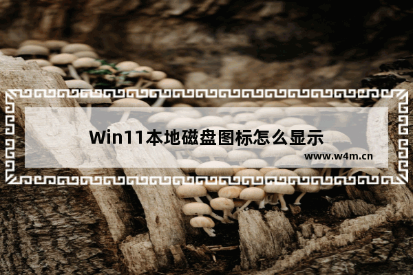 Win11本地磁盘图标怎么显示