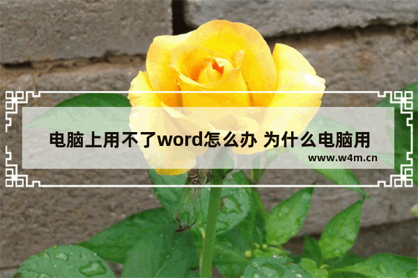 电脑上用不了word怎么办 为什么电脑用不了word