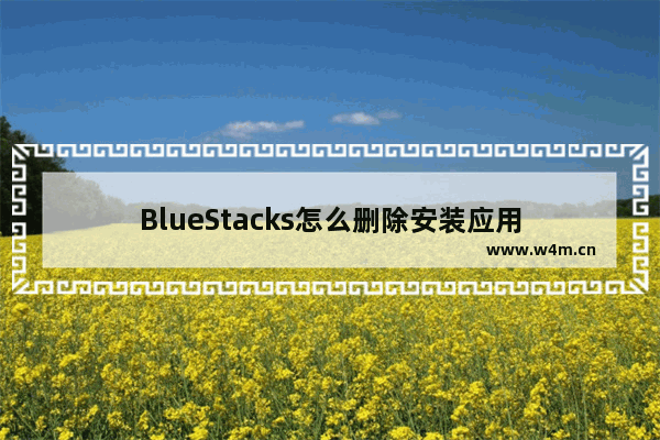 BlueStacks怎么删除安装应用