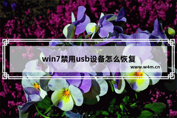 win7禁用usb设备怎么恢复