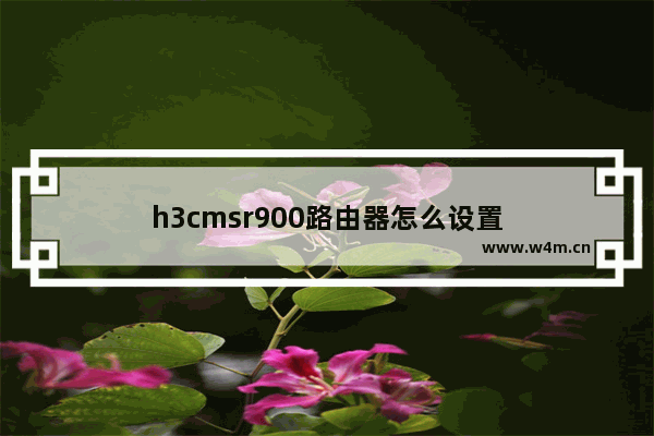 h3cmsr900路由器怎么设置