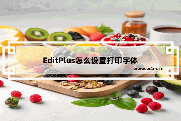 EditPlus怎么设置打印字体