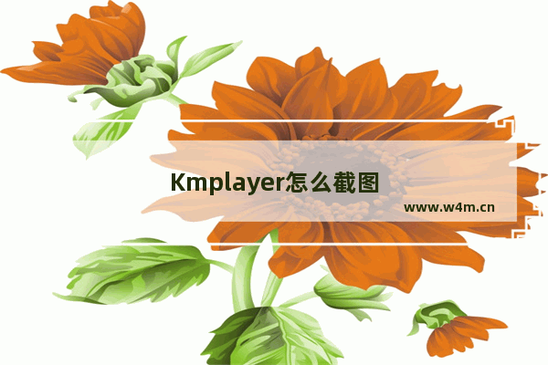 Kmplayer怎么截图