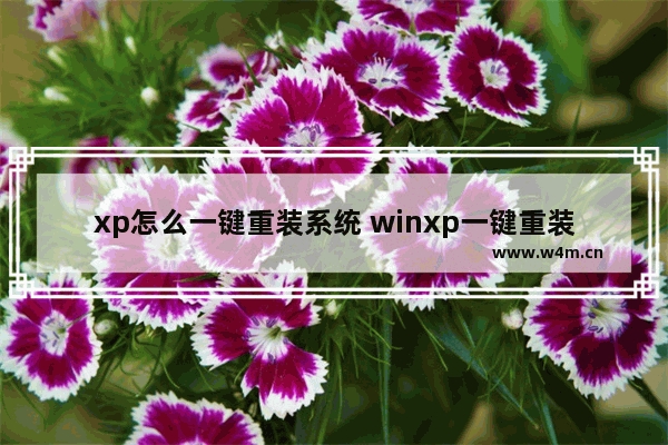 xp怎么一键重装系统 winxp一键重装