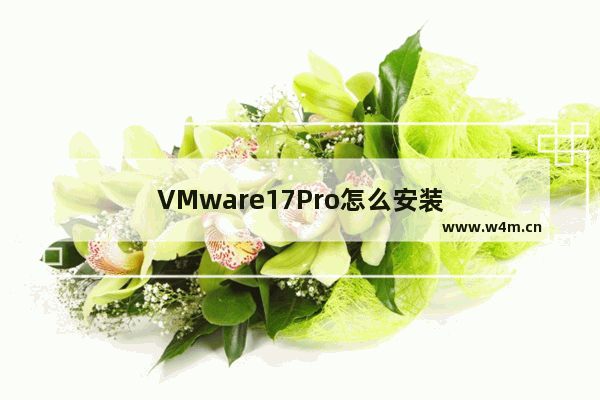 VMware17Pro怎么安装