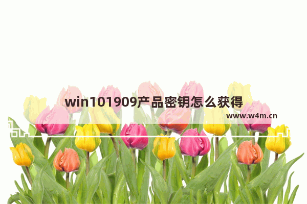 win101909产品密钥怎么获得