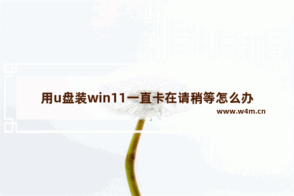 用u盘装win11一直卡在请稍等怎么办