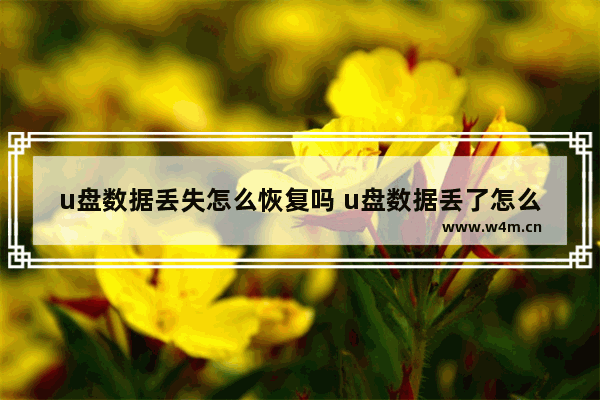 u盘数据丢失怎么恢复吗 u盘数据丢了怎么办