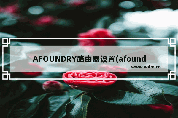 AFOUNDRY路由器设置(afoundry路由器恢复出厂设置怎么设置)